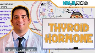 Endocrinology  Synthesis of Thyroid Hormone [upl. by Conlen286]