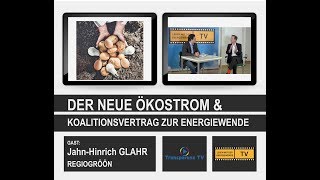 DER NEUE ÖKOSTROM amp KOALITIONSVERTRAG ENERGIEWENDE [upl. by Bach]