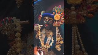 bake vihari lal ki jay radhakrishna [upl. by Neela856]