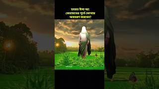 হযরত ঈসা আলাইহিস সালাম এর কাহিনী। hazrat isa ali salam ka waqia shorts history ytshorts [upl. by Mayap]