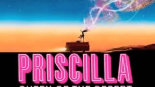 The Adventures of Priscilla Queen of the Desert 1994  Opera Atop a Bus Scene 38  Movieclips [upl. by Meehyr]