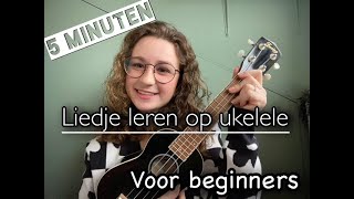 Liedje op de Ukelele leren in 5 MINUTEN Makkelijk [upl. by Redliw]