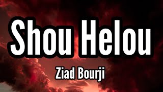 Ziad Bourji  Shou Helou Music Video  زياد برجي  شو حلو فيلم بالغلط [upl. by Eisyak]