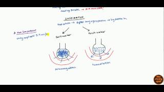 Drowning Pathophysiology and Management for USMLE [upl. by Animsay]