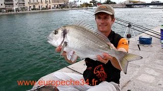 Pêche des grosses dorades de Sète par Europêche34 [upl. by Tobias]