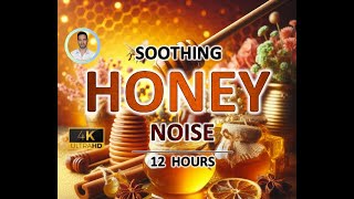 Soothing Honey Noise  12 Hours  BLACK SCREEN  Study Sleep Tinnitus Relief and Focus [upl. by Mirilla]