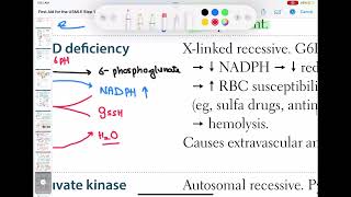 G6PD haematology 49 First Aid USMLE Step 1 in UrduHindi [upl. by Anelav]