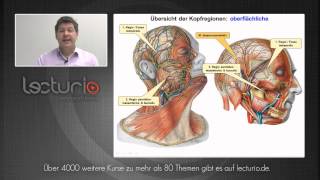 Anatomie online Kopf und Halsregionen  Dr med SteffenBoris Wirth bei Lecturio [upl. by Nauquf643]