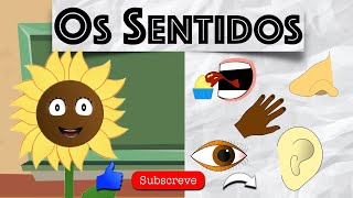 Vamos AprenderOs Sentidos Aula Estudo do Meio de 1º Ciclo em Português de Portugal [upl. by Erny542]