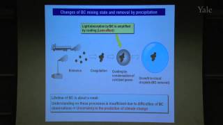 Recent Studies of the Effects of Aerosols on Climate in East Asia Observations and Modeling [upl. by Pepillo]