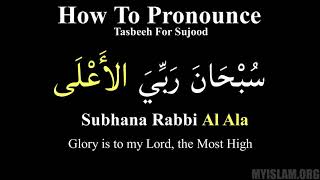 Subhana Rabbi Al Ala What to say in sujood for Salah [upl. by Garlanda]