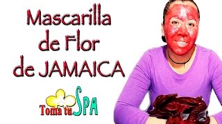 MASCARILLA DE JAMAICA PARA PROTEGER TU PIEL  HIBISCUS FACE MASK DIY [upl. by Loleta404]