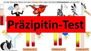 Präzipitintest zur Bestimmung stammesgeschichtlicher Verwandtschaft Biologie Evolution Oberstufe [upl. by Chase]