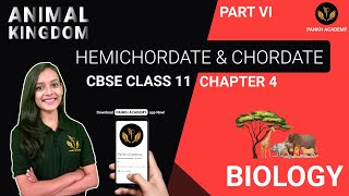 HEMICHORDATE amp CHORDATE  Animal Kingdom  Biology Class 11  Part 6  Pankh Academy [upl. by Zoara157]