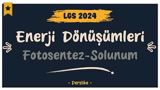 Enerji Dönüşümleri  LGS 2024 [upl. by Adnahsal]