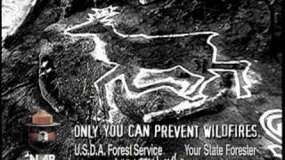 Smokey Bear  Crime Scene [upl. by Aneetak]