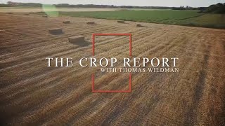 our weekly Crop Report [upl. by Niwrek]