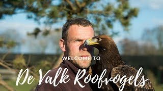 De Valk Roofvogels  DE INTRO [upl. by Bathulda]