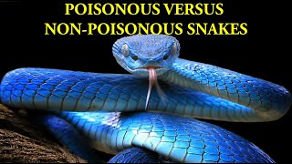 1 poisonous snakes and venom [upl. by Alodi]