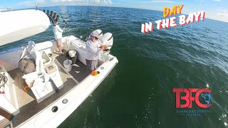 Fishing Inside Tampa Bay [upl. by Delaine]