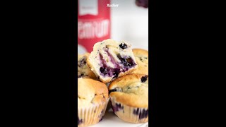 Blaubeermuffins  OHNE ZUCKER  Muffin Rezept mit Xucker [upl. by Aniratak732]