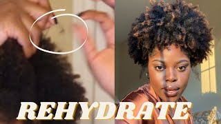 Rehydrate low porosity drying hair midweek type 4 Moesha Chantae [upl. by Hajar]