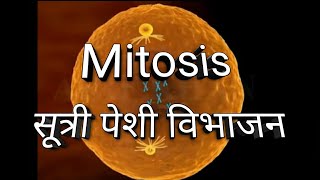 Mitosis in Marathi [upl. by Castor767]