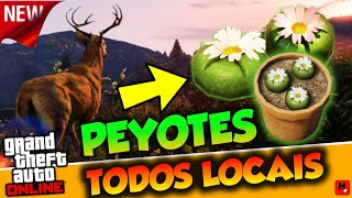 Localização de todos os Peyotes do GTA 5  Atualizado [upl. by Vasya]