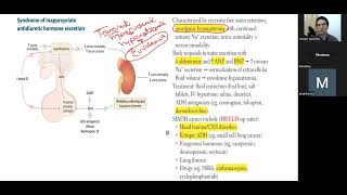 ثالث محاضرة لشرح ال Endocrine USMLE STEP 1 [upl. by Rama]