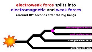 Quantum Gravity and Gravitons The Search for a Theory of Everything [upl. by Tori]