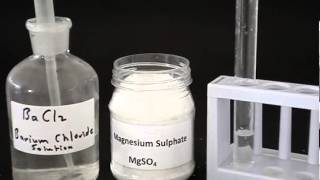 Test for a sulfate [upl. by Fiorenza]