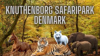 Knuthenborg Safaripark Denmark [upl. by Arraek]