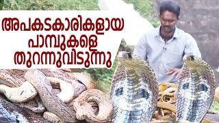 Wow  Vava Suresh Releasing Dangerous Snakes  Snake Master [upl. by Hollenbeck]