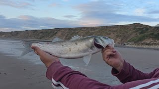 Fishing from the beach🇮🇲🇮🇲🎣🎣 [upl. by Eckel]