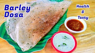 உடல் எடையை குறைக்க பார்லி தோசை  Barley Dosai  Barley Dosa for weight loss  Healhy Dosa in Tamil [upl. by Baalman]