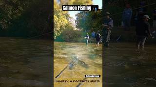 Salmon Fishing at Ganaraska River fishing nature asmr trending youtubeshorts [upl. by Vihs663]