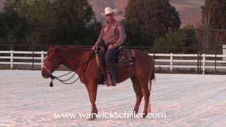 Horse Training  Rearing and Destination Addiction with Warwick Schiller [upl. by Modie]