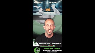 Top Cannabis Market  Michigan vs California [upl. by Llehcsreh]