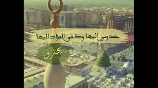 مديح لأحن الناس حنينا  المُنشِد محمود وهبي [upl. by Enert]