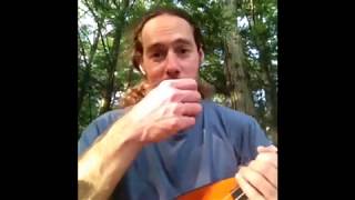 The secret to quotTHE FAN STROKEquot  Ukulele Flamenco Strumming  The Flick [upl. by Walrath892]