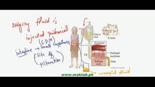 FSc Biology Book2 CH 15 LEC 14 Dialysis and Kidney Transplant [upl. by Aharon]