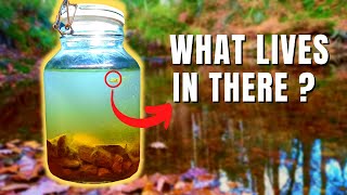 Making an ecosphere with a MYSTERY animal inside [upl. by Asselim]