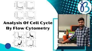 Cell Cycle Analysis By Flow Cytometry [upl. by Mairem210]