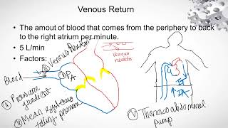 SV EDV EF ESV CO Pulse Venous Return  Samiha Mobashshira [upl. by Deeyn]