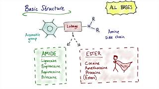 Local Anaesthetic Agents [upl. by Kayle]