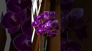 Took a break from writing book Admired pretty Orchids [upl. by Lal]