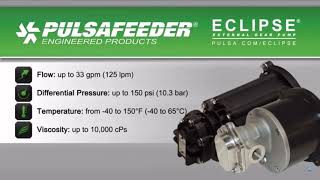 Pulsafeeder Eclipse Rotary Gear Pumps  Simple Safe amp Reliable [upl. by Nitnerb]