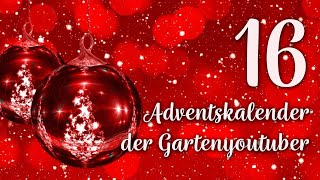 Adventskalender der Garten YouTuber 2021  Türchen 16 [upl. by Ebbie]