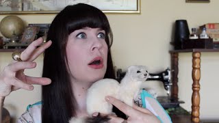 Ask a Mortician Human Taxidermy [upl. by Aicyle]