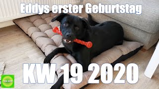 Vlog  KW 19 2020  Eddys erster Geburtstag amp Duschtag [upl. by Rondon]